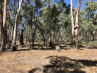 39 / Melacele Green Hills Lane, Barham