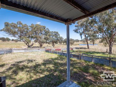 Lot 52, 2202 Wellington Vale Road, Emmaville