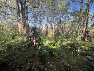 489 Davis Road, Jiggi