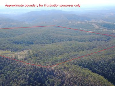 702 Comboyne Road, Byabarra