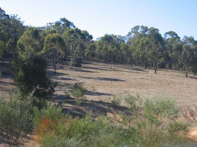 50 COMMON DAM TRACK, Heathcote