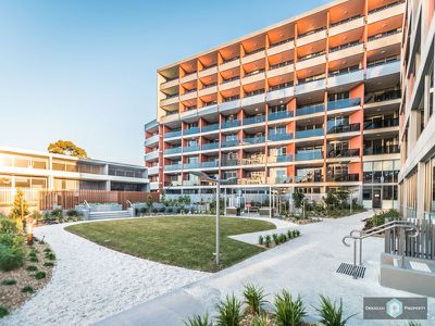 231 / 9 Rose Valley Way, Zetland