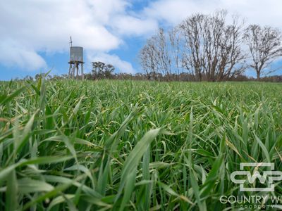 Lot Plain View, 916 Emmaville Road, Glen Innes