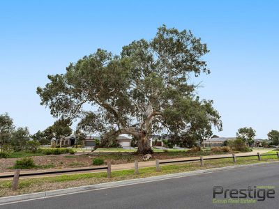6 Arbour Street, Mernda