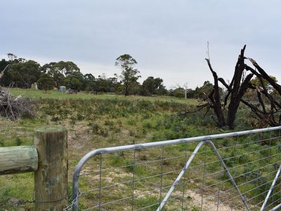 Lot 70, Southern Ports Highway, Millicent