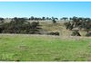 1370 Mid Western Highway, Evans Plains