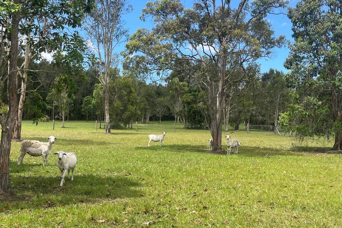48 Boronia Road, Cootharaba