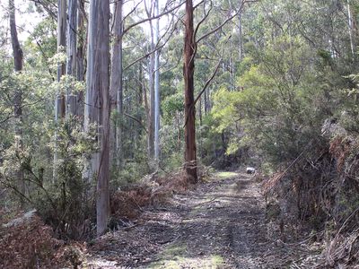 Lot 2 & 2, Off Rocky Creek Road, Crabtree