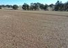 76 Sylvias Gap Road, Tumblong