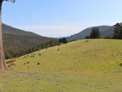 Lot 4, 100 Crosswells Road, Pelverata
