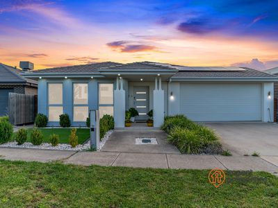 31 Hibberd Crescent, Forde