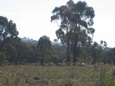 LOT 37 WARROWITUE-FOREST ROAD, Heathcote