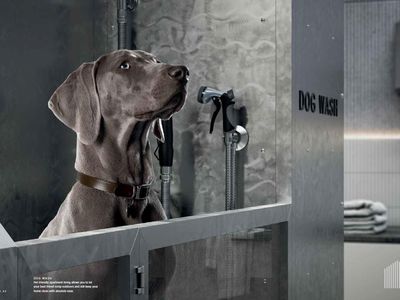 403a/72 Ascot Vale Road, Flemington