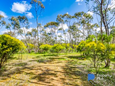 282 OBriens Drive , Mcintyre