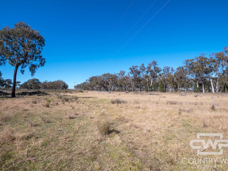 Lot 8, - Emmaville Road, Emmaville