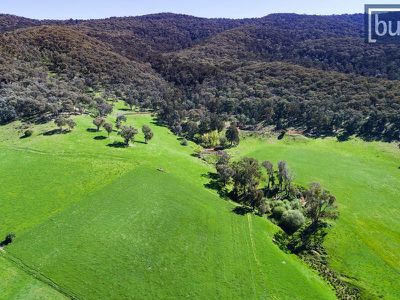 1161 Yackandandah-Dederang Road, Dederang