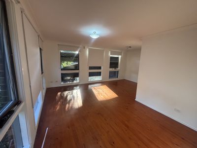 42 Tallagandra Drive, Quakers Hill
