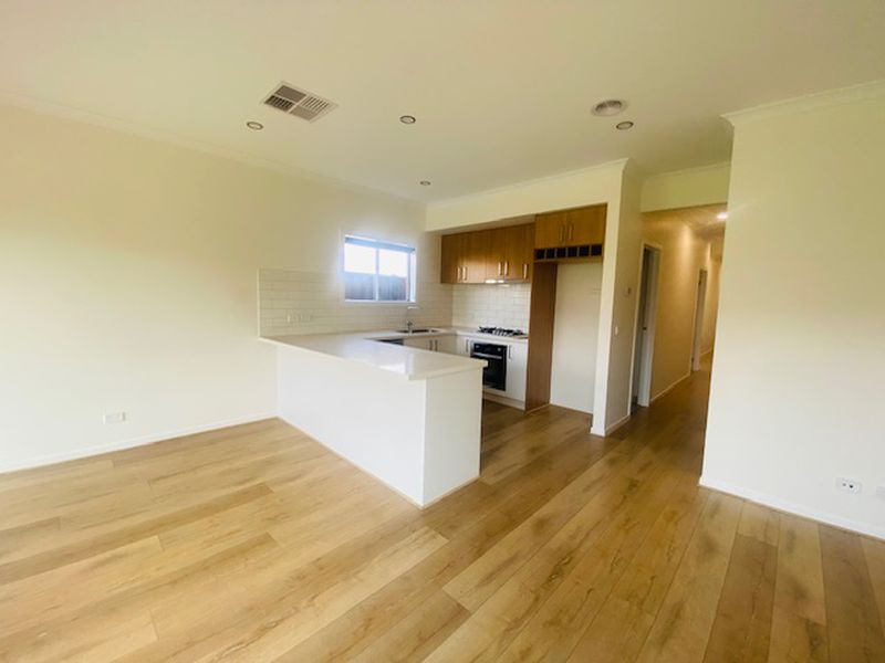 24 Rice Flower, Strathtulloh