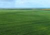 155 Claypans Road, Copeville