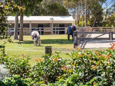 12-20 Avila Road, Curlewis