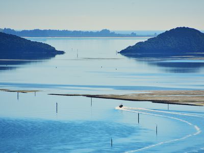 35 Coolock Crescent, Waverley