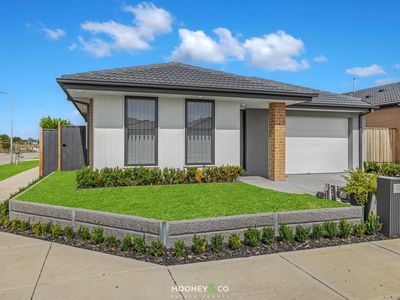 35 Protea Street, Junction Village