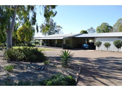 240 WANDOBAH Road, Gunnedah