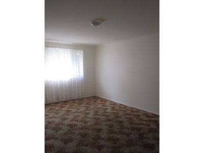 1 / 19 Sassafras Avenue, Windang