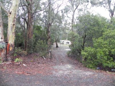 385 Randalls Bay Road, Eggs And Bacon Bay
