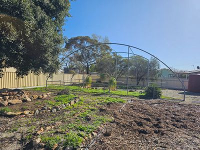 13 Pollock, Merredin