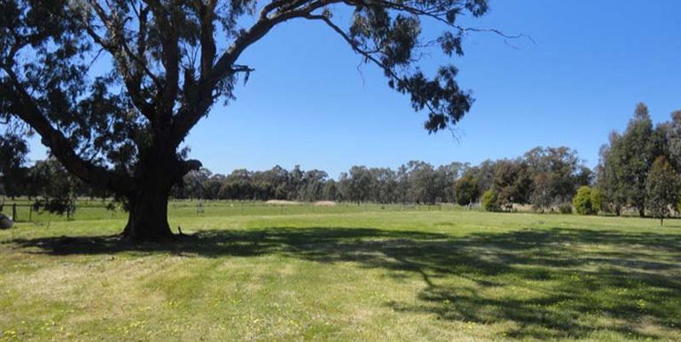 28 Hoskin Lane, Violet Town