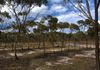 Lot 18493 Tutanning Road, East Pingelly