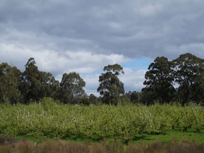 Cross Road, Nicholls Rivulet