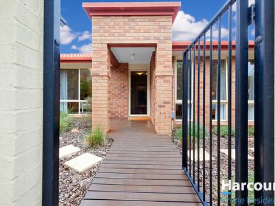 20 Bettie McNee Street, Watson