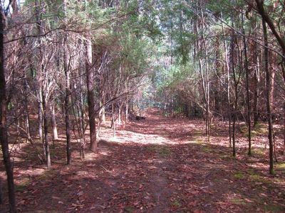 Office PE / Lot 2 Lverata Road, Pelverata