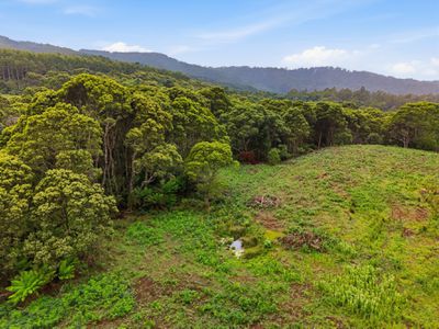 28834 Tasman Highway, Weldborough