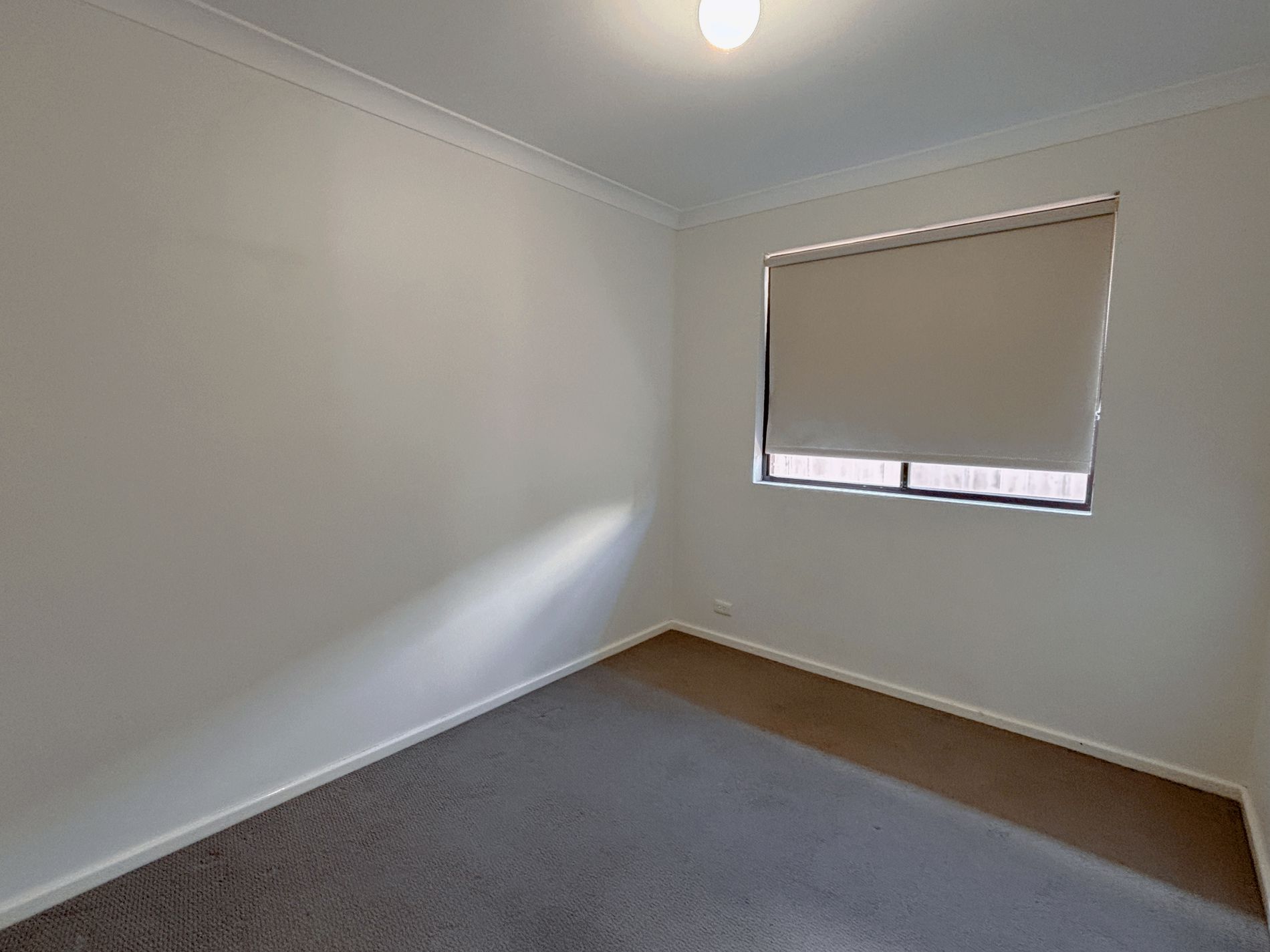 230A Collins Street, West Lamington