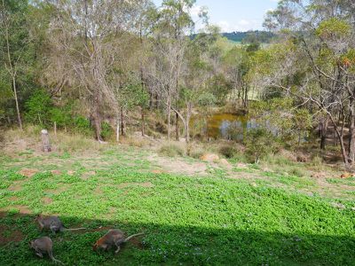 59 Elouera Drive, Nanango