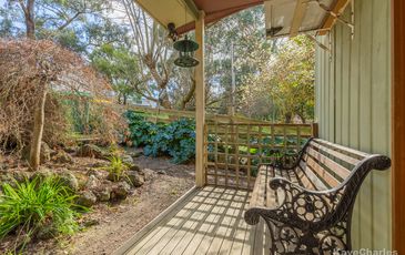 15 Paradise Avenue, Clematis