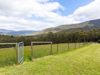 1775 Pelverata Road, Upper Woodstock