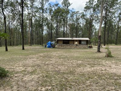 Wattle Camp