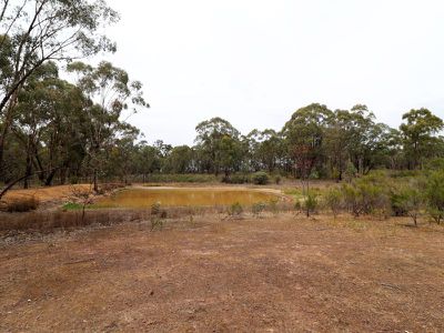 595 Bayles Road, Murchison