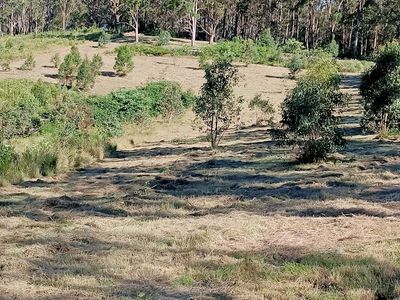 702 Comboyne Road, Byabarra