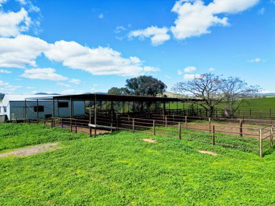 Lot 221 & 62-63 , Wymah Road, Bowna