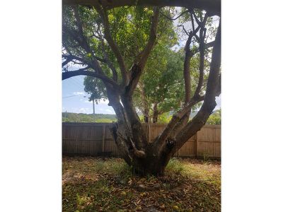 64 May Street, Cooktown