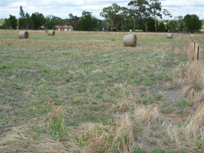 lot 4 Ellerman Street, Dimboola