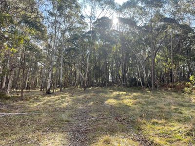 681 Hereford Hall Road, Hereford Hall via, Braidwood