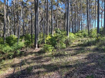 Lot 16, Mystery Bay Road, Mystery Bay