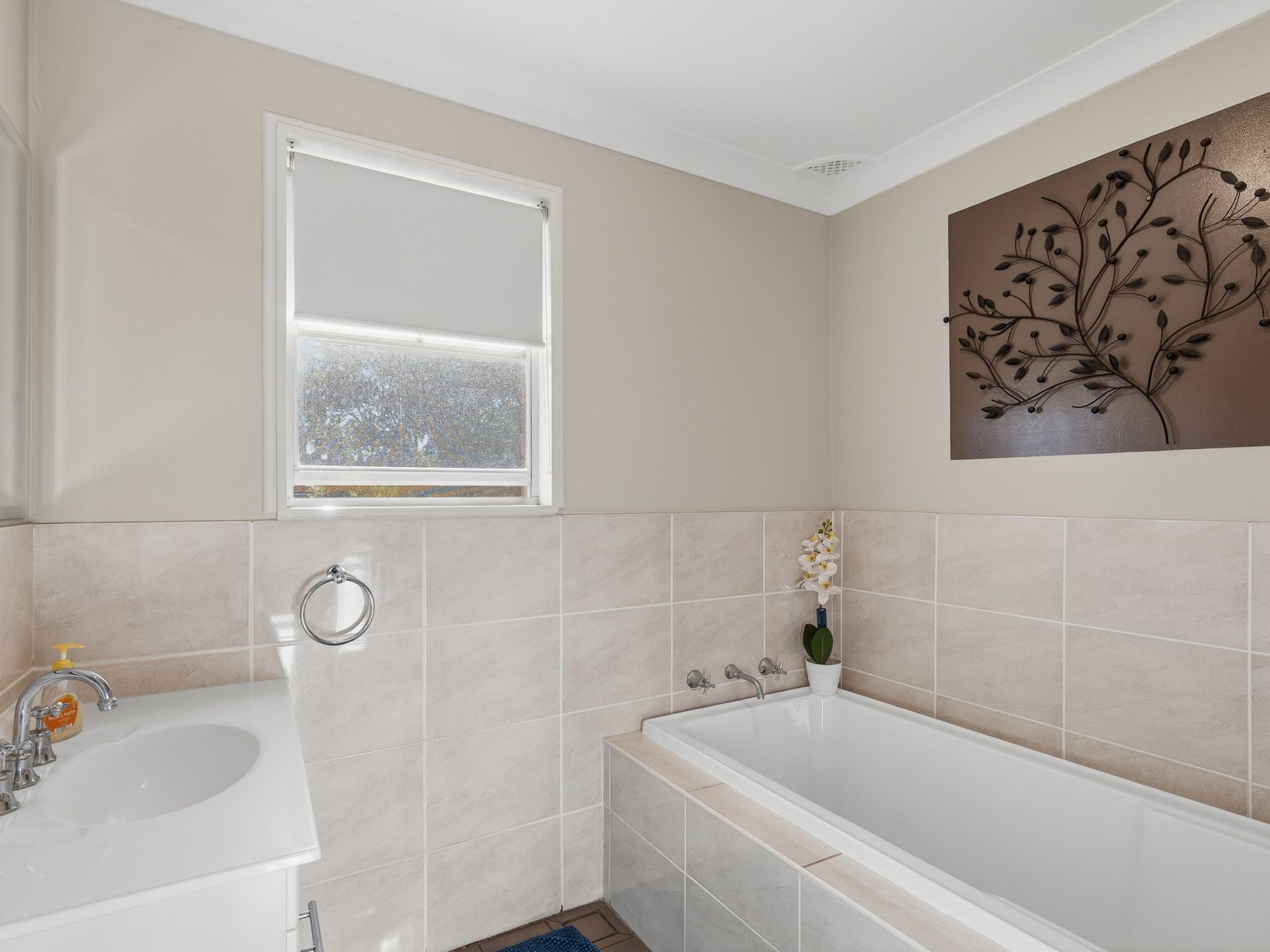 11 Mcdonald Crescent, Tamworth