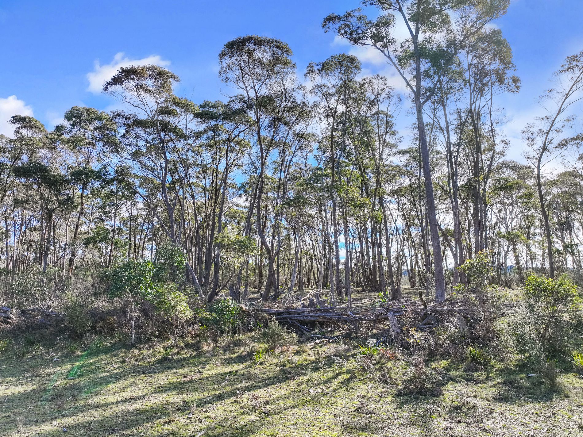 Lot 193 / 443 Back Creek Road, Mongarlowe